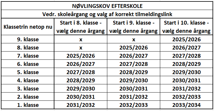 Skema vedrørende valg af skoleårgang