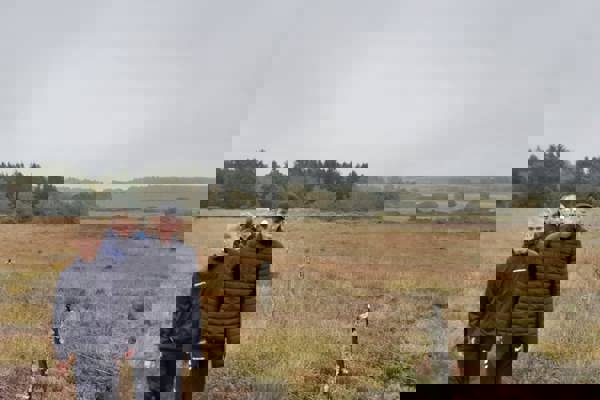 Hjort 02