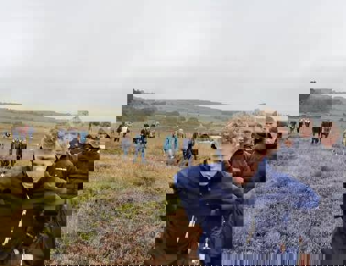 Hjort 12